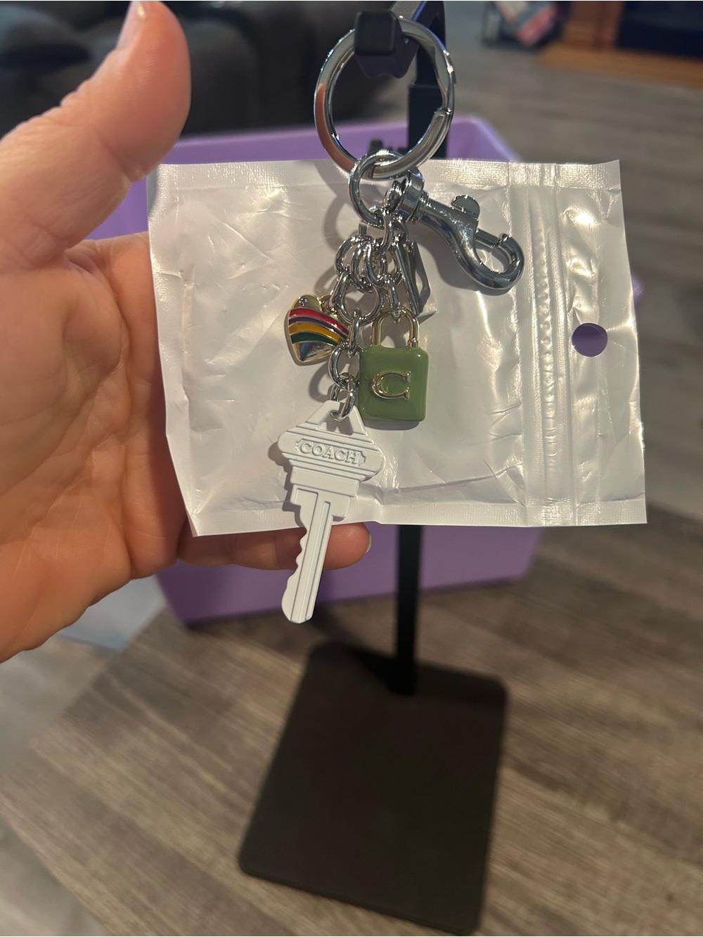 Rainbow Heart & Green Charm Keychain Key & Card Holder